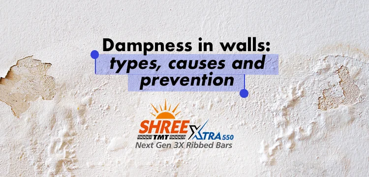 Dampness in Walls: Types, Causes and Prevention